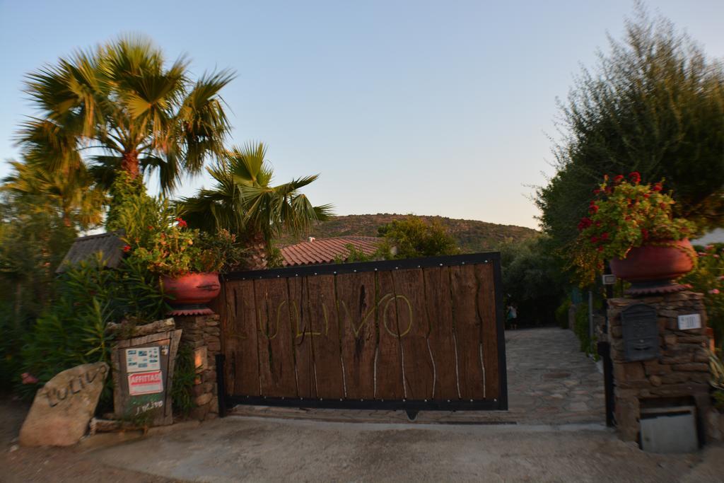 Residence L'Ulivo Budoni Kültér fotó