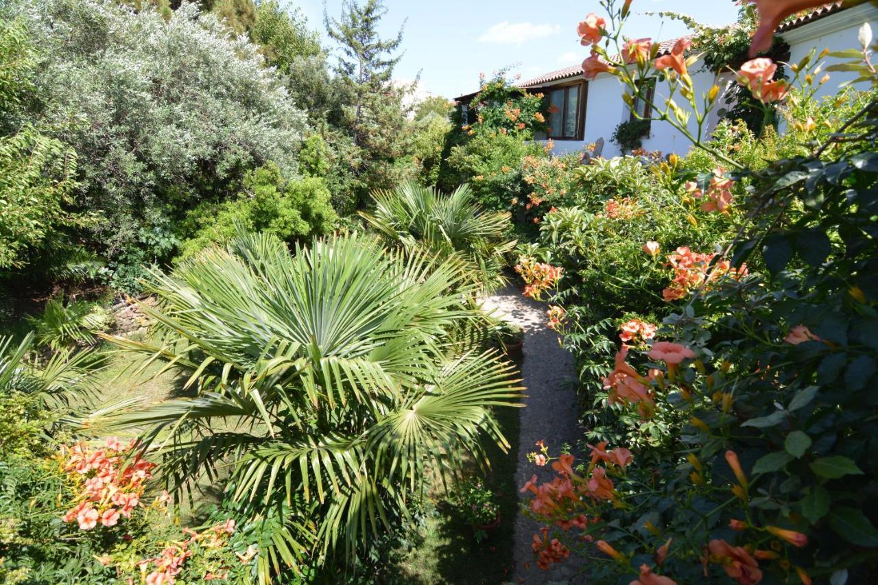Residence L'Ulivo Budoni Kültér fotó
