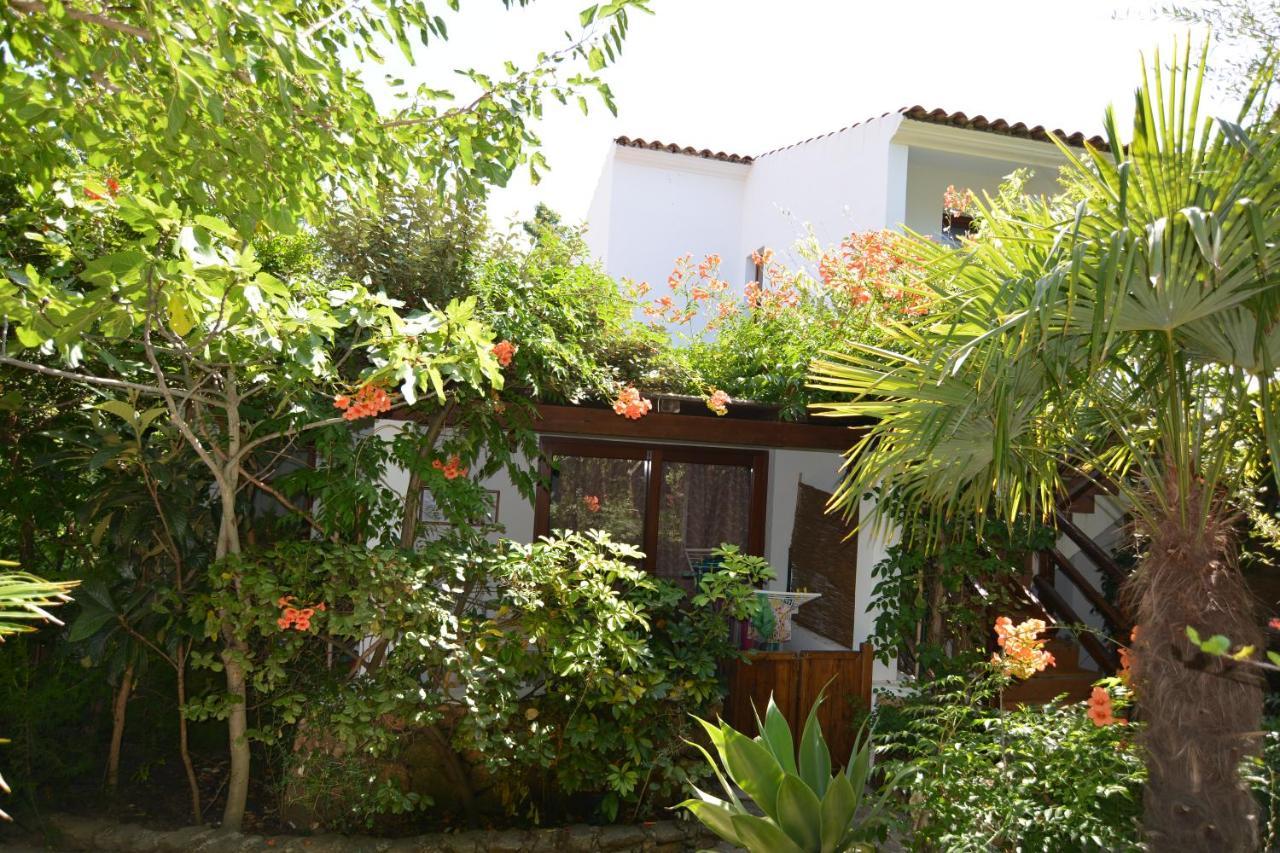 Residence L'Ulivo Budoni Kültér fotó